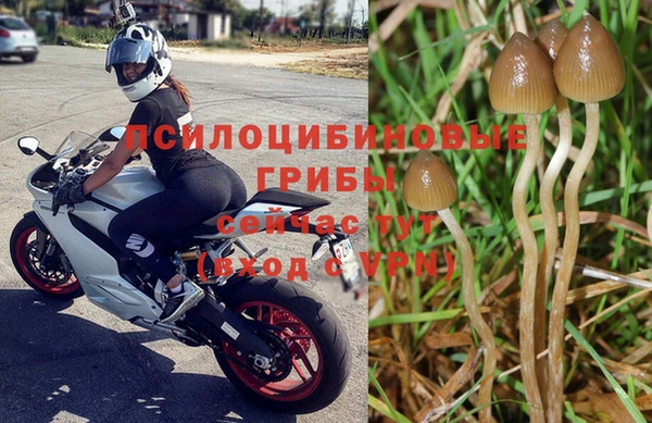 а пвп мука Баксан